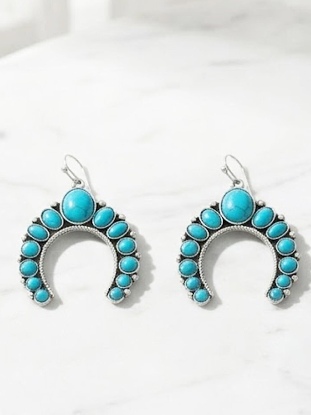 Horseshoe Earrings - Blue